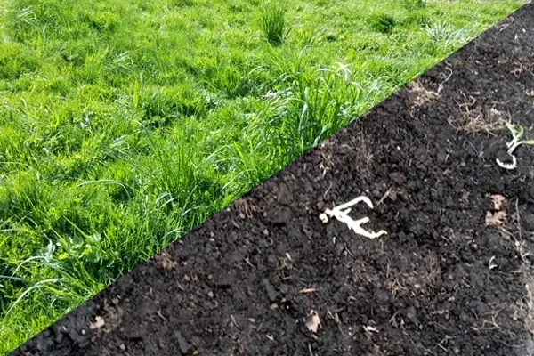 Artificial Turf Removal and Disposal in Spring, TX